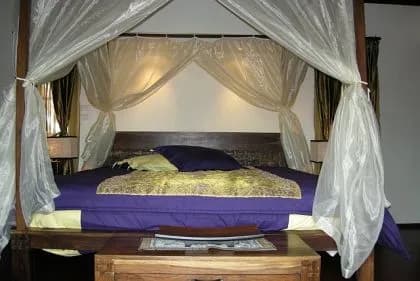 Plumeria Place 22 photo 5 of 17
