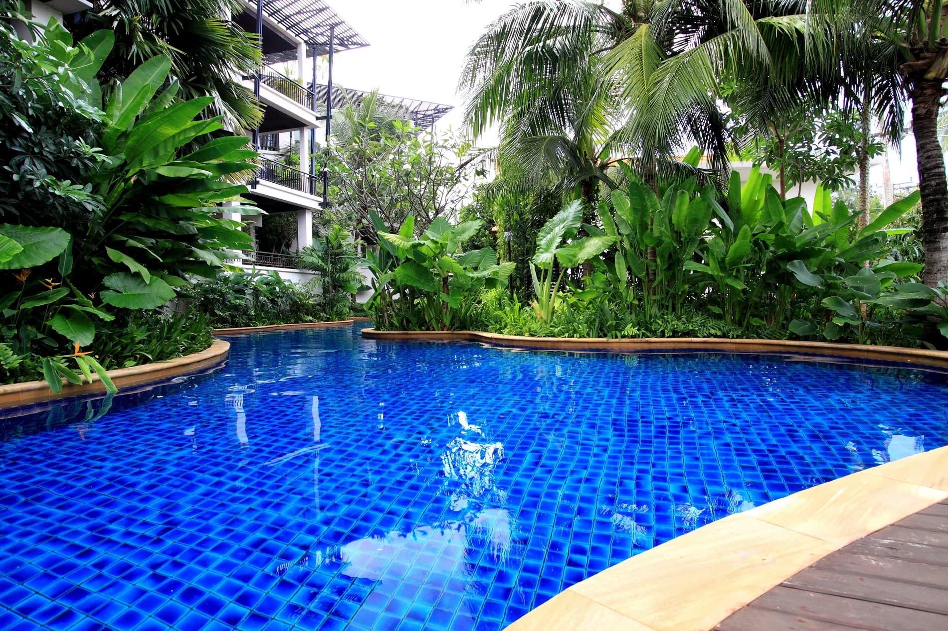 Jungle Paradise Penthouse photo 3 of 17