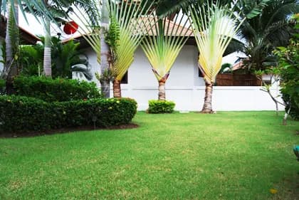 Villa Busaba MVI-B12 photo 5 of 17