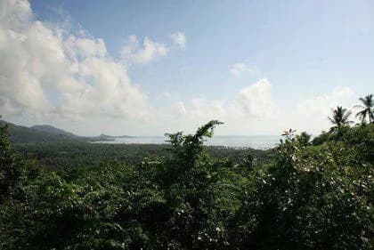 Baan Levadee photo 4 of 14