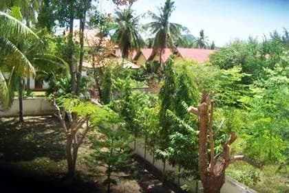 Dolphin Bay Beach Villa photo 4 of 8