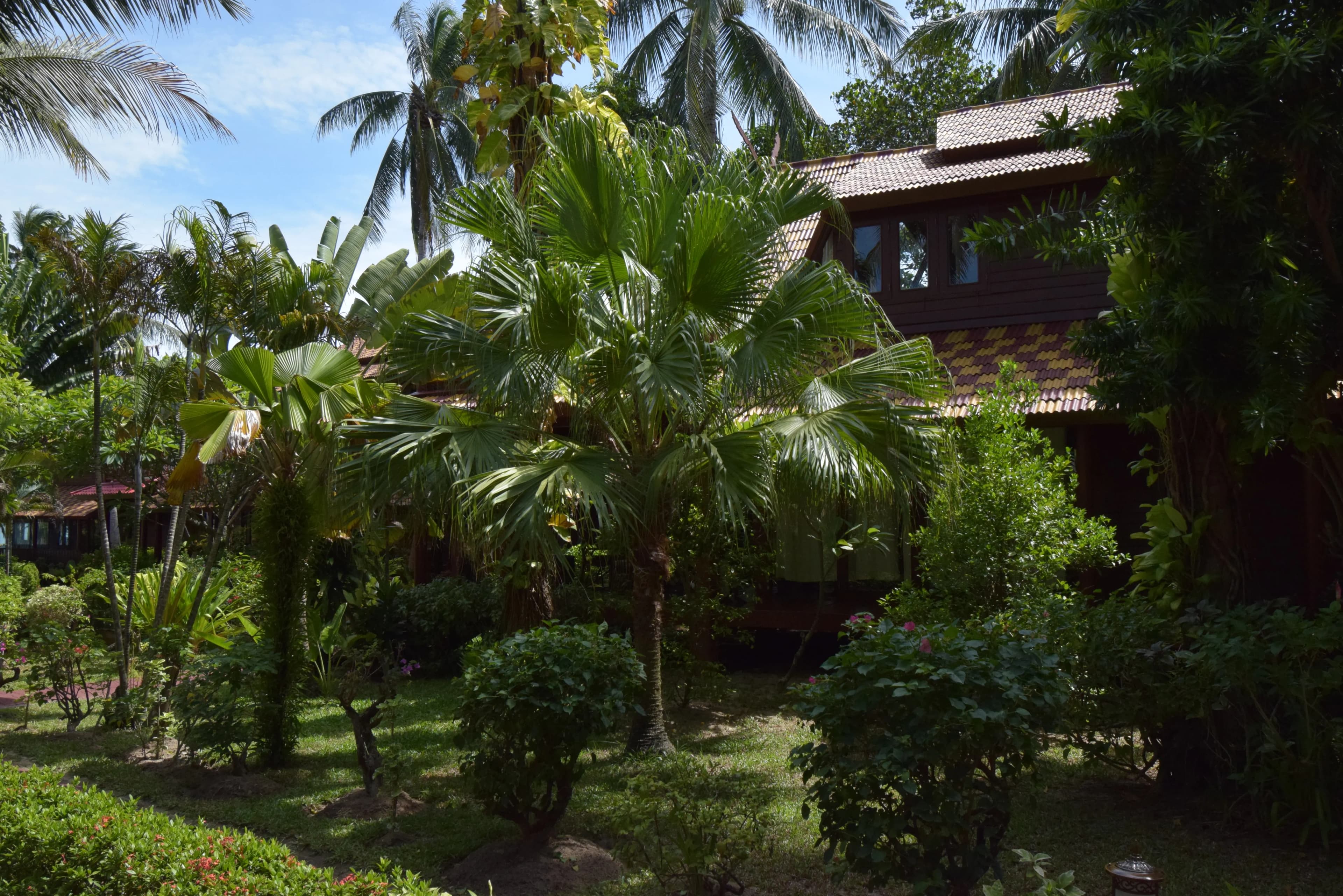 Coconut Tropicana Villa T5 photo 5 of 17
