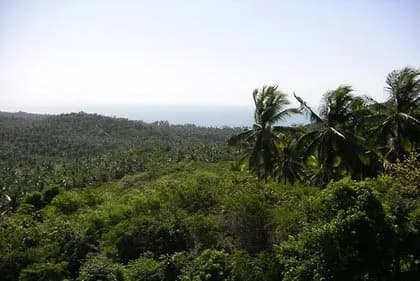 Villa Baan Waan - 3