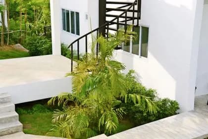 Jungle Livin' photo 3 of 15