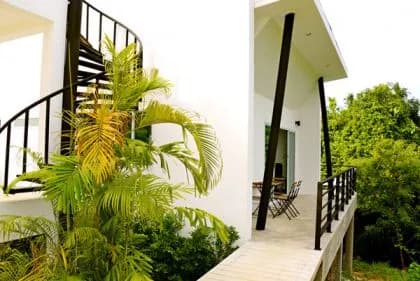 Jungle Livin' photo 4 of 15