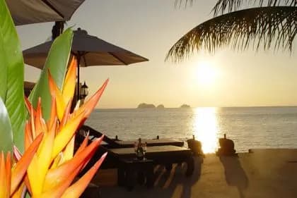 Sibaja Palms Sunset Beach Apartment photo 5 of 12