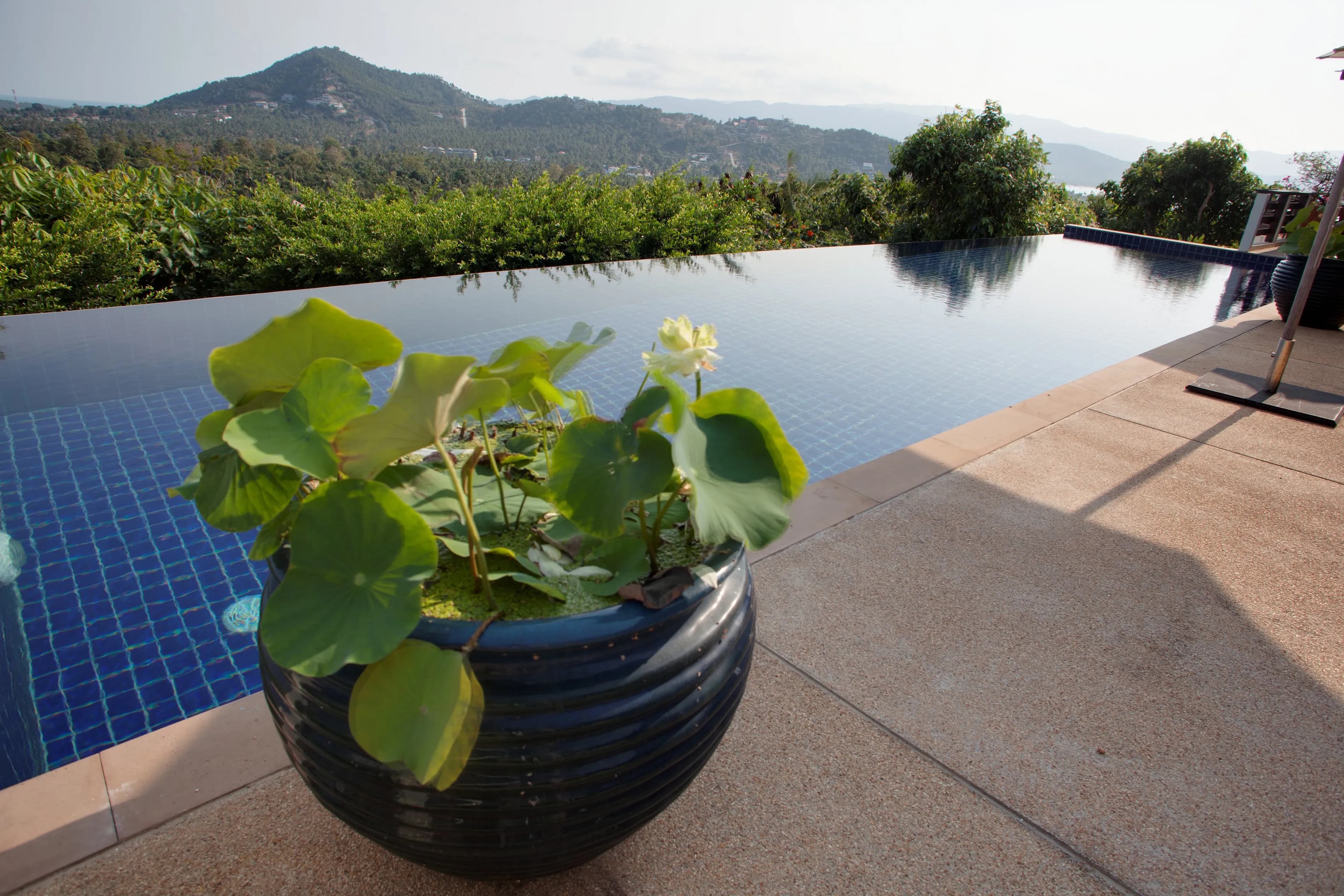 Alpha Villa photo 5 of 17