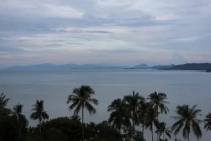 View from the terrace