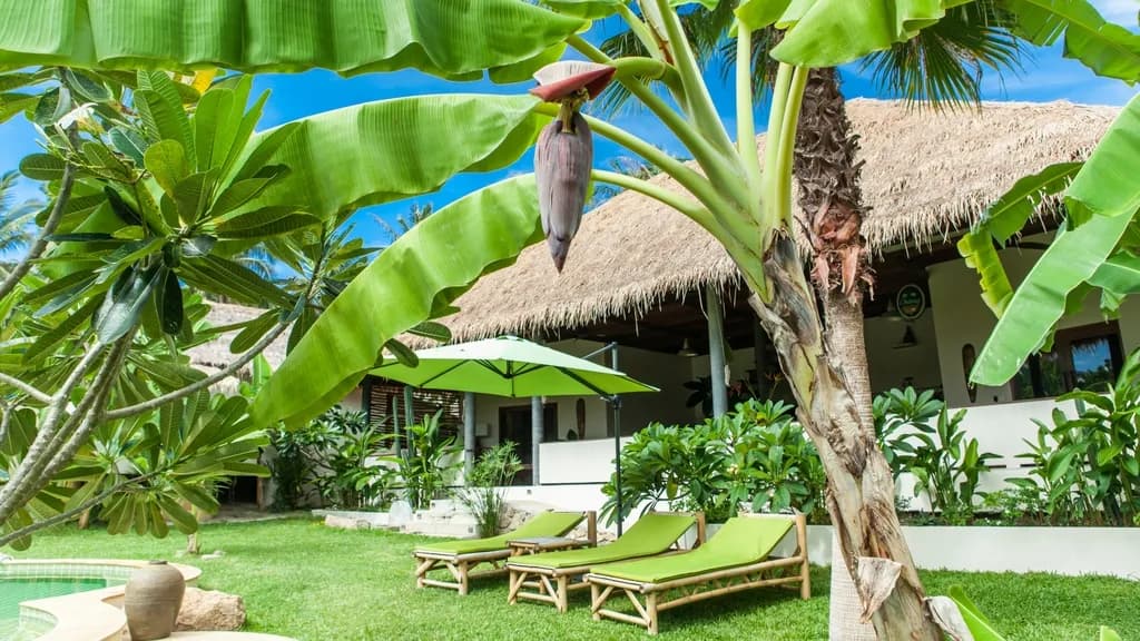 Baan Yai - 5