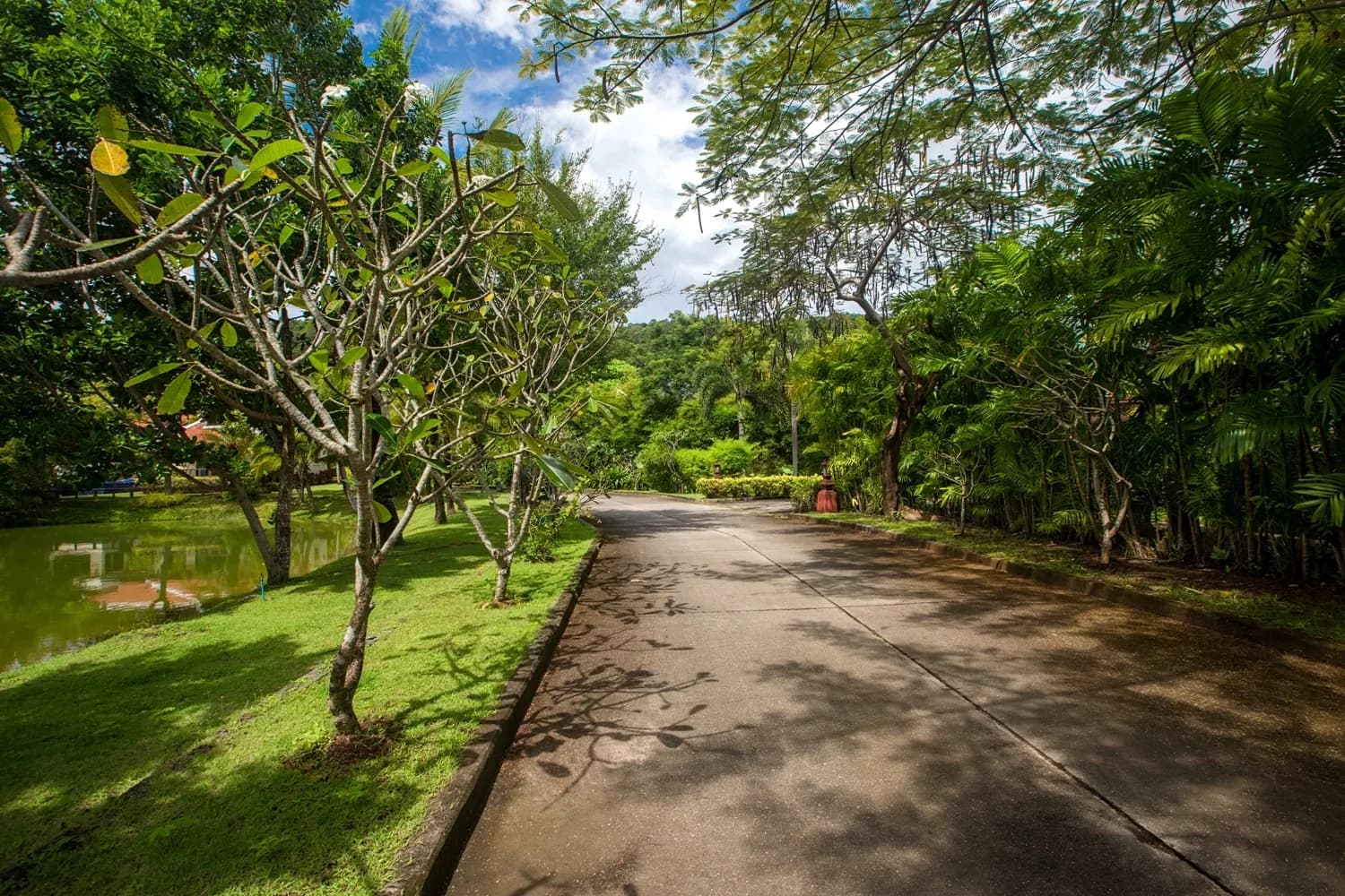 Villa Timor photo 4 of 17