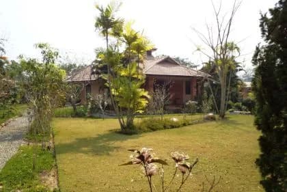 Large garden