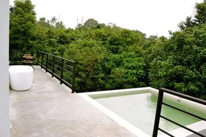 Jungle Livin'